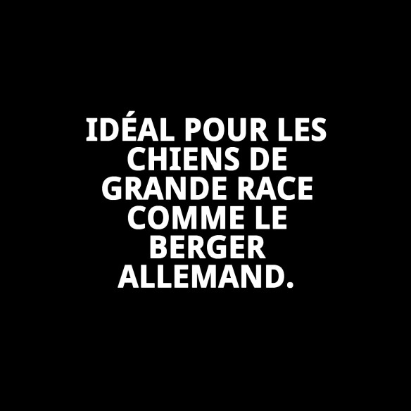 Collier en Chaîne Chromée pour Chien 75cm x 4mm