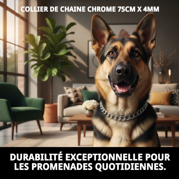 Collier en Chaîne Chromée pour Chien 75cm x 4mm