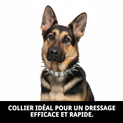 Collier d'éducation 3,2 mm : Contrôle et confort pour votre animal de compagnie