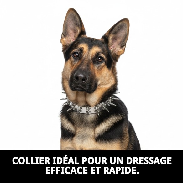 Collier d'éducation 3,2 mm : Contrôle et confort pour votre animal de compagnie