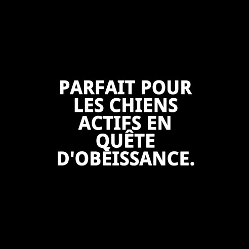 Collier d'éducation 3,2 mm : Contrôle et confort pour votre animal de compagnie