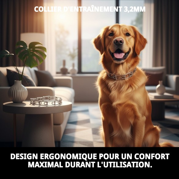 Collier d'éducation 3,2 mm : Contrôle et confort pour votre animal de compagnie