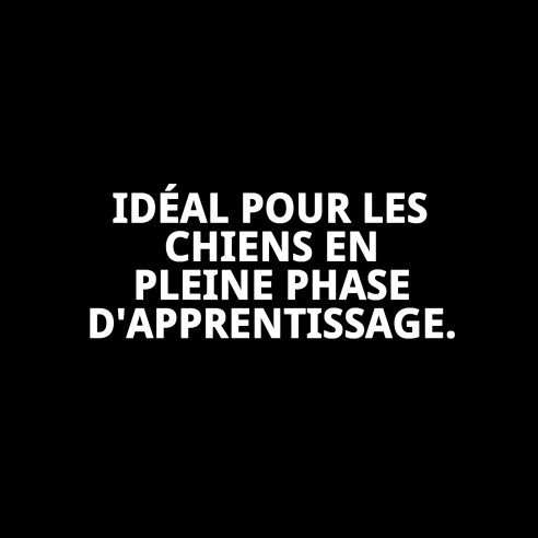 Collier d'éducation 3,8 mm - Efficace et Confortable pour votre Animal de Compagnie