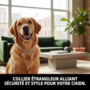 Collier Estran Chaîne 35cm x 2mm pour Animaux Actifs 2