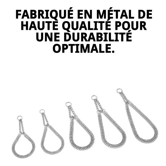 Collier Estran Chaîne 35cm x 2mm pour Animaux Actifs