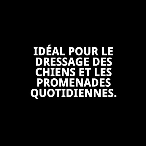 Collier Estran Chaîne 35cm x 2mm pour Animaux Actifs