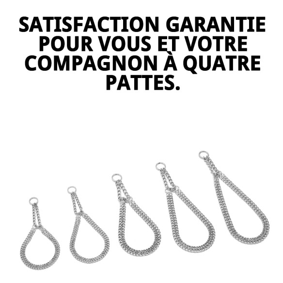 Collier Estran Chaîne 35cm x 2mm pour Animaux Actifs