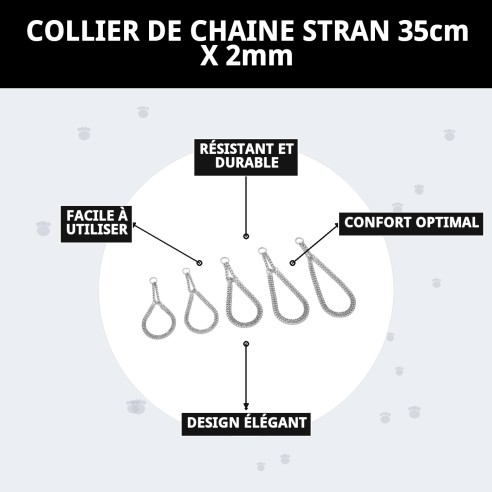 Collier Estran Chaîne 35cm x 2mm pour Animaux Actifs