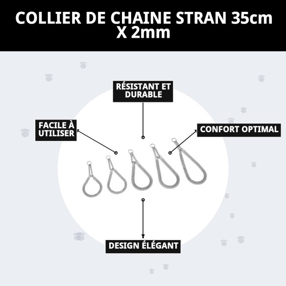 Collier Estran Chaîne 35cm x 2mm pour Animaux Actifs