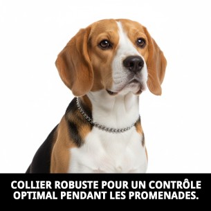 Collier en chaîne Estran pour chiens - 40 cm x 2 mm 2