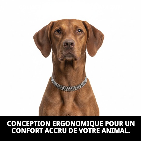 Collier en chaîne Estran pour chiens - 40 cm x 2 mm