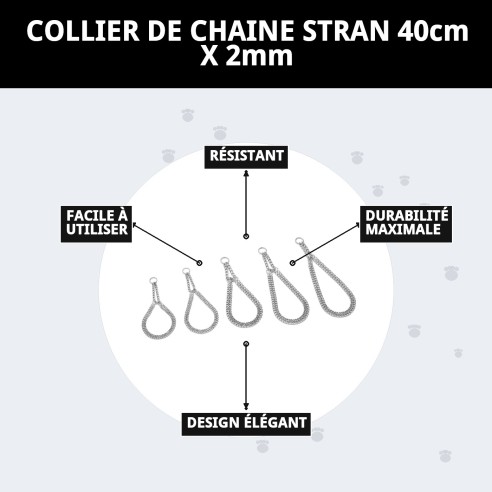 Collier en chaîne Estran pour chiens - 40 cm x 2 mm
