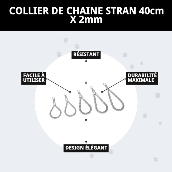 Collier en chaîne Estran pour chiens - 40 cm x 2 mm