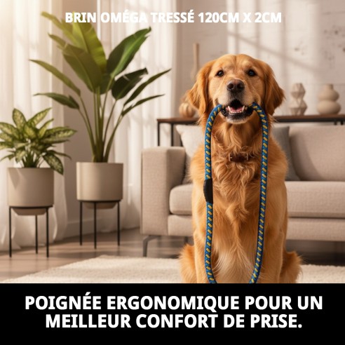 Ramal Omega Tressé 120 cm - Résistant et Confortable pour votre Animal de Compagnie