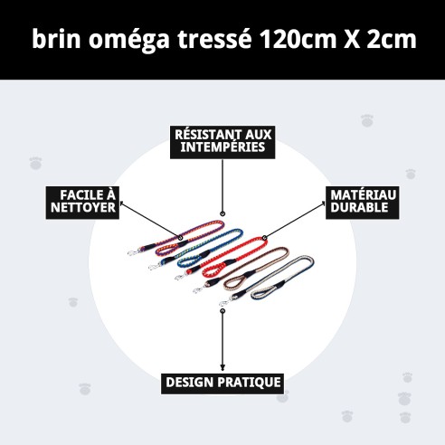 Ramal Omega Tressé 120 cm - Résistant et Confortable pour votre Animal de Compagnie