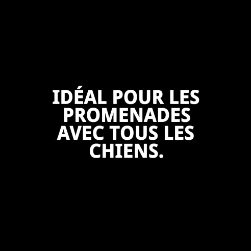 Ramal Omega Tressé 60 cm pour promener votre chien.