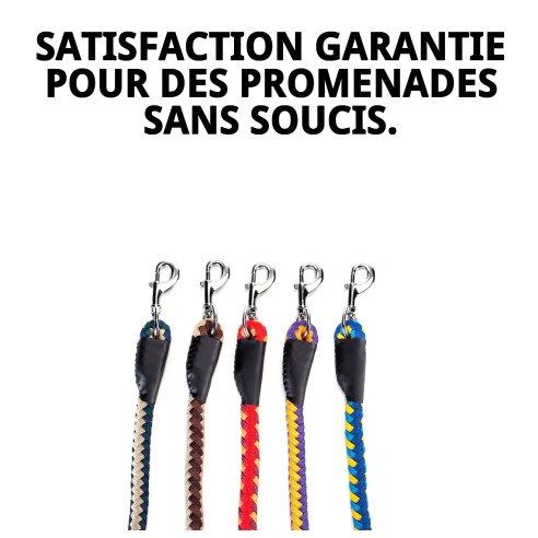 Ramal Omega Tressé 60 cm pour promener votre chien.