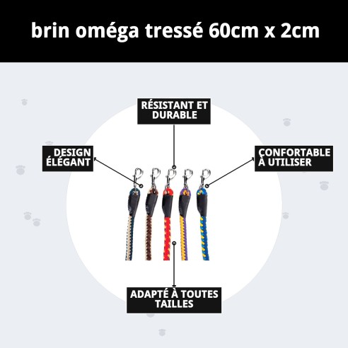 Ramal Omega Tressé 60 cm pour promener votre chien.