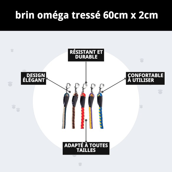 Ramal Omega Tressé 60 cm pour promener votre chien.