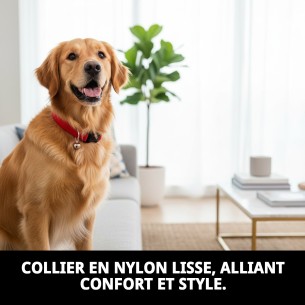 Collier en nylon lisse avec grelot pour votre animal de compagnie 23-35 cm 2