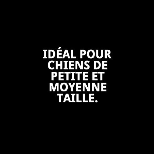 Collier en nylon lisse avec grelot pour votre animal de compagnie 23-35 cm