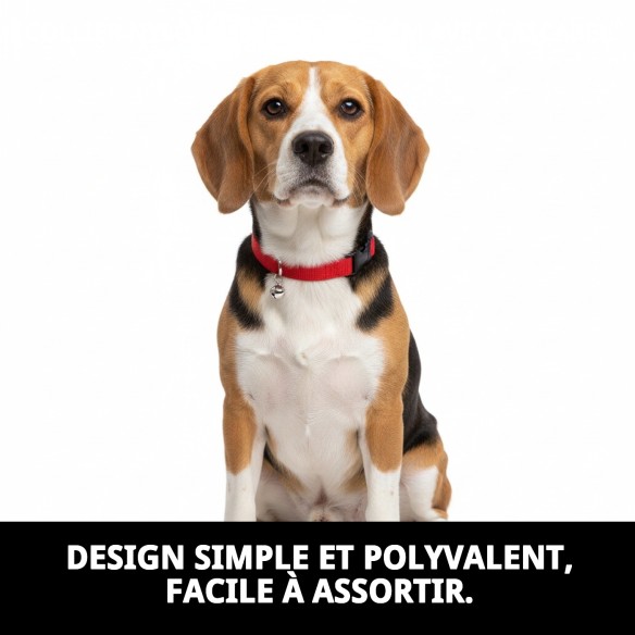 Collier en nylon lisse avec grelot pour votre animal de compagnie 23-35 cm