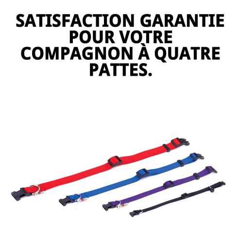 Collier en nylon lisse avec grelot pour votre animal de compagnie 23-35 cm