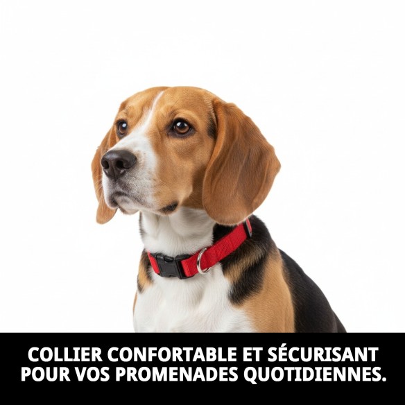 Collier en nylon lisse ajustable 25-40 cm pour animaux de compagnie.