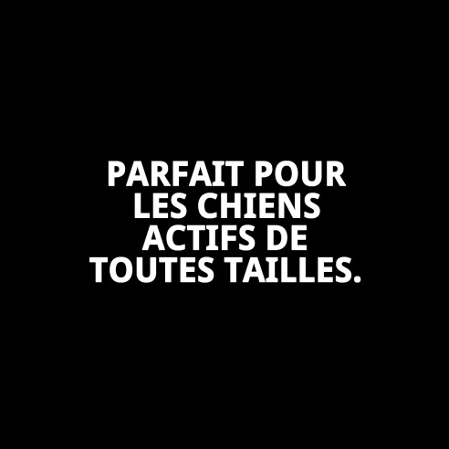 Collier en nylon lisse ajustable 25-40 cm pour animaux de compagnie.