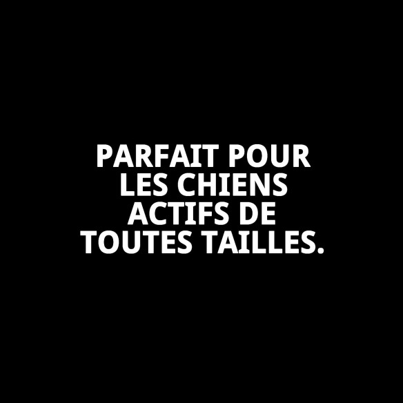 Collier en nylon lisse ajustable 25-40 cm pour animaux de compagnie.