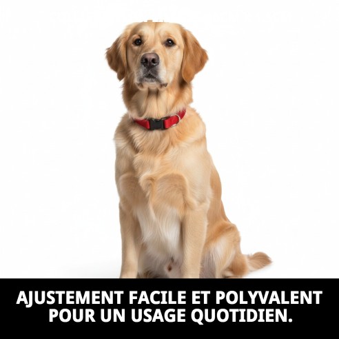 Collier en nylon lisse ajustable 25-40 cm pour animaux de compagnie.