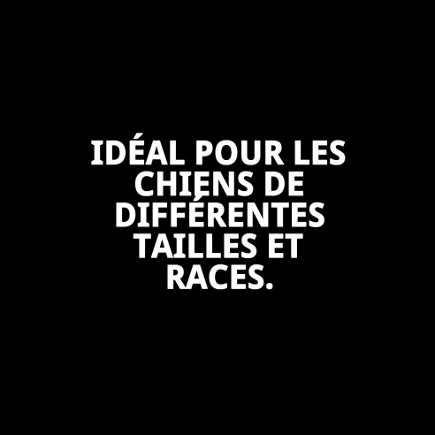 Collier en nylon lisse bleu 35-55 cm pour animaux de compagnie