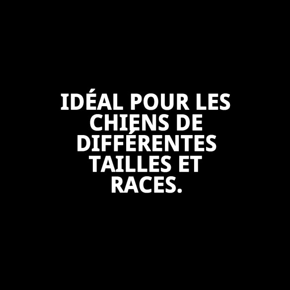 Collier en nylon lisse bleu 35-55 cm pour animaux de compagnie