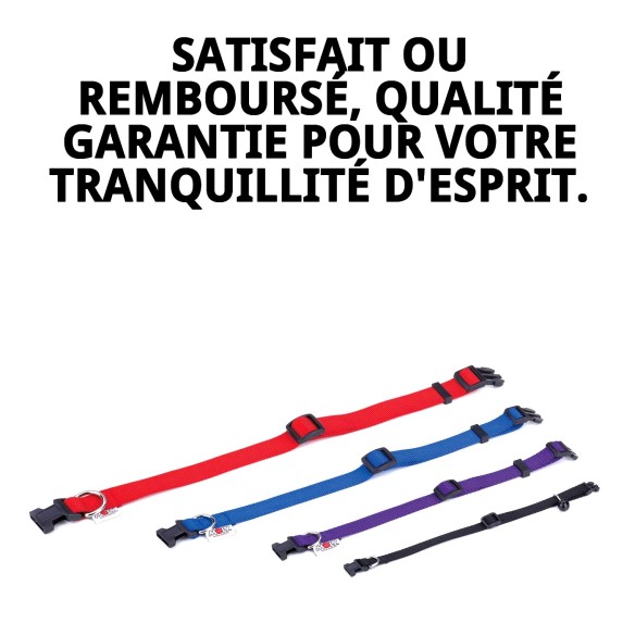 Collier en nylon lisse bleu 35-55 cm pour animaux de compagnie