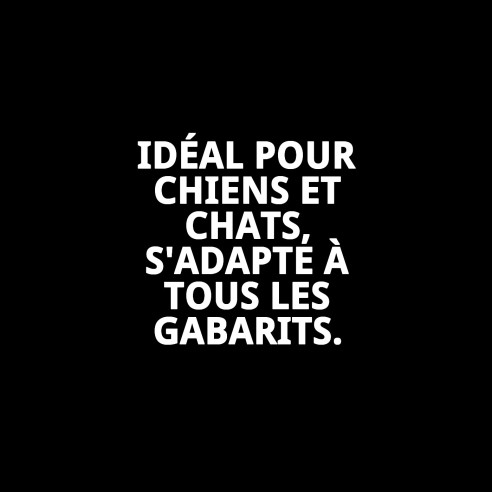 Collier en Nylon Uni pour Animaux - Noir et Rose 40-65 cm