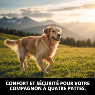 Collier en nylon rond 35 cm x 8 mm - Confort et style 2