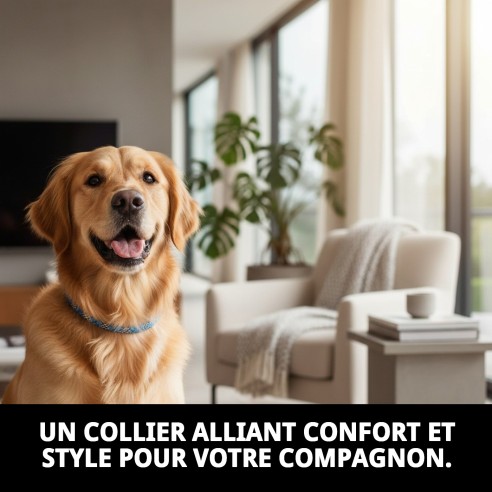 Collier en nylon rond 40 cm x 8 mm pour animaux de compagnie