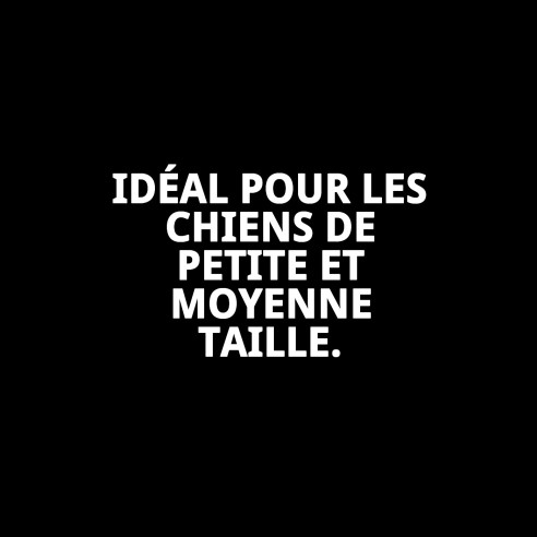 Collier en nylon rond 40 cm x 8 mm pour animaux de compagnie