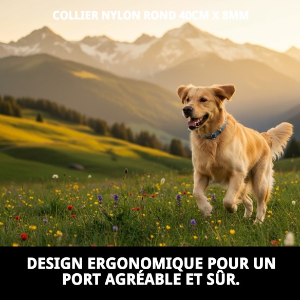 Collier en nylon rond 40 cm x 8 mm pour animaux de compagnie
