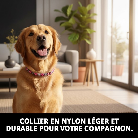 Collier en nylon rond 45 cm x 8 mm pour animaux de compagnie.