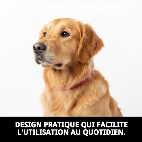 Collier en nylon rond 45 cm x 8 mm pour animaux de compagnie.