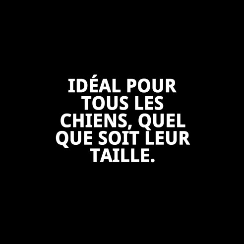 Collier en nylon rond 50 cm x 13 mm pour animaux de compagnie.