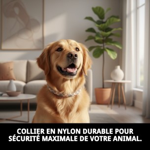 Collier en nylon rond 60 cm x 13 mm pour animaux de compagnie 2