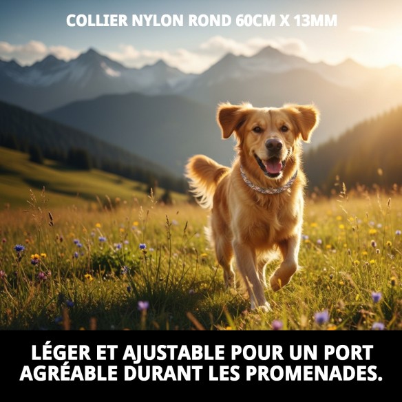 Collier en nylon rond 60 cm x 13 mm pour animaux de compagnie