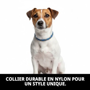 Collier en nylon rond 55 cm x 13 mm pour animaux actifs 2