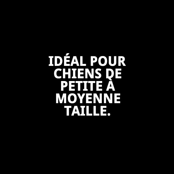 Collier en nylon rond 55 cm x 13 mm pour animaux actifs