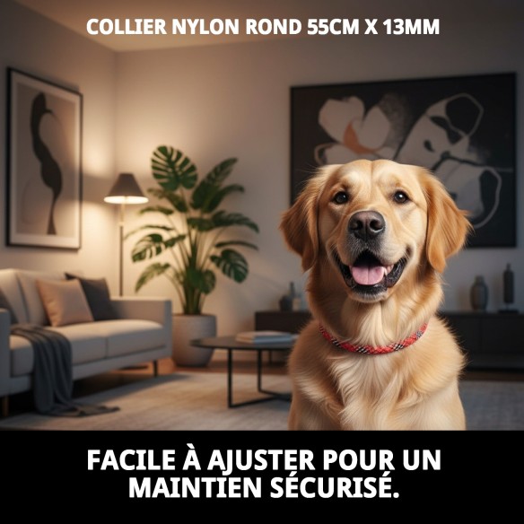 Collier en nylon rond 55 cm x 13 mm pour animaux actifs