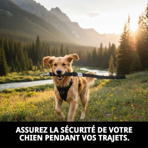 Accessoire de sécurité pour animaux de compagnie : Ceinture 85 x 2,5 cm 2