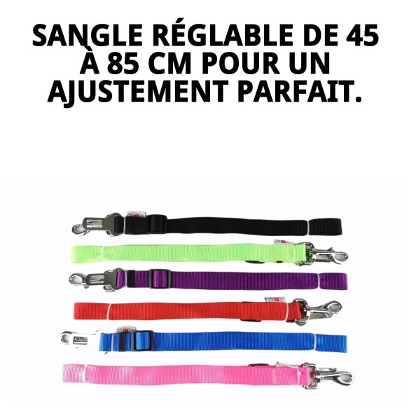 Accessoire de sécurité pour animaux de compagnie : Ceinture 85 x 2,5 cm