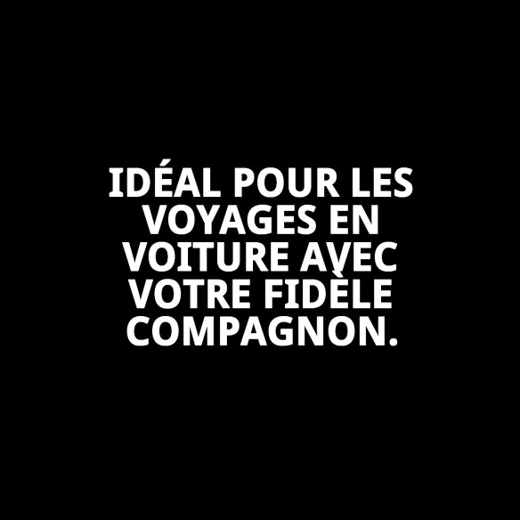 Accessoire de sécurité pour animaux de compagnie : Ceinture 85 x 2,5 cm